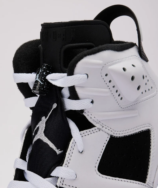 Air Jordan 6 Retro 'Oreo'